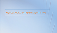 Mobile Application Penetration Testing Whitepaper