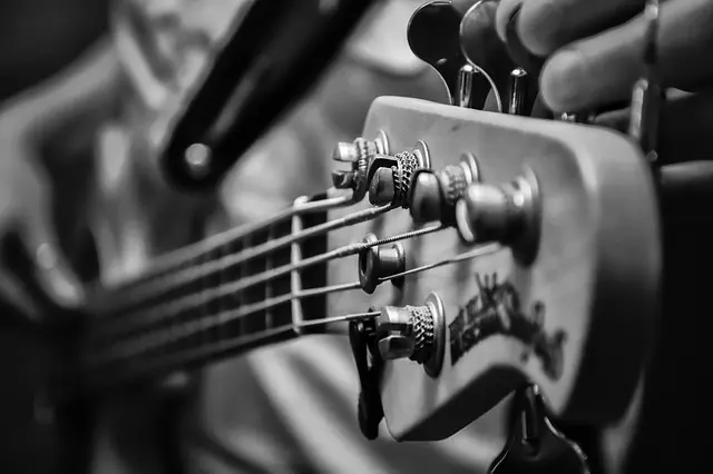 a black and white photo of a person playing a bass guitar
