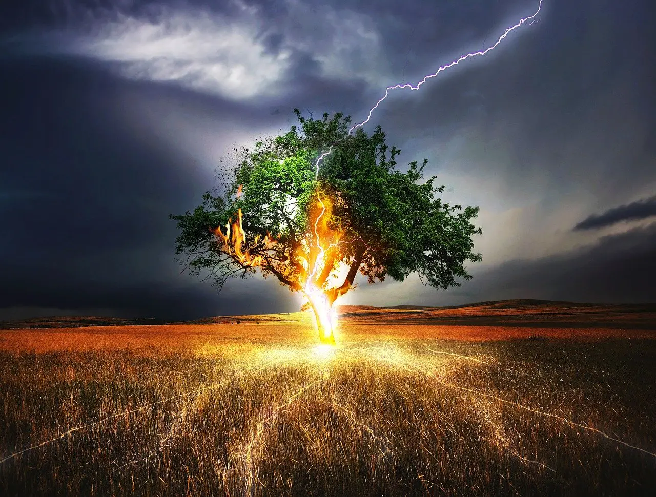 lightning strikes a tree in the middle of a field