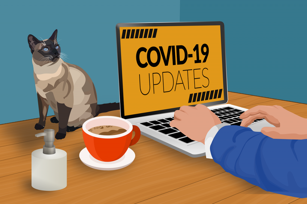 cat sits in front of a laptop that says covid-19 updates