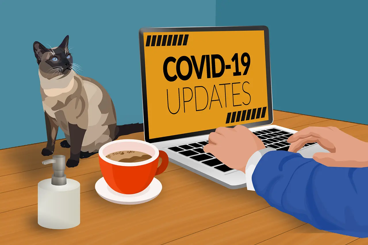 cat sits in front of a laptop that says covid-19 updates