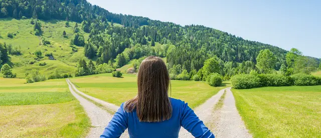 a view from behind a person looking down two similar-looking paths, deciding which one to go down