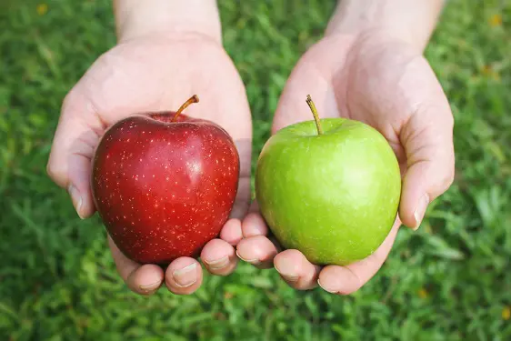 a person is holding a red apple and a green apple in their hands