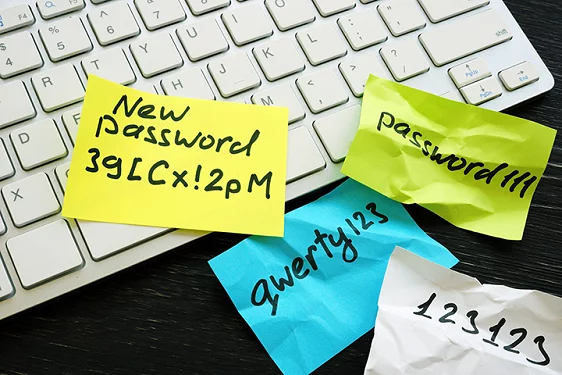 Password protection services