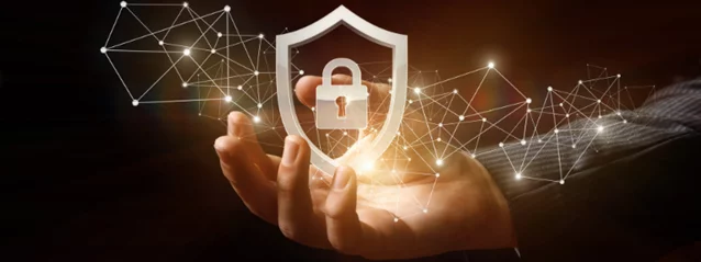 a person is holding a shield with a padlock on it .