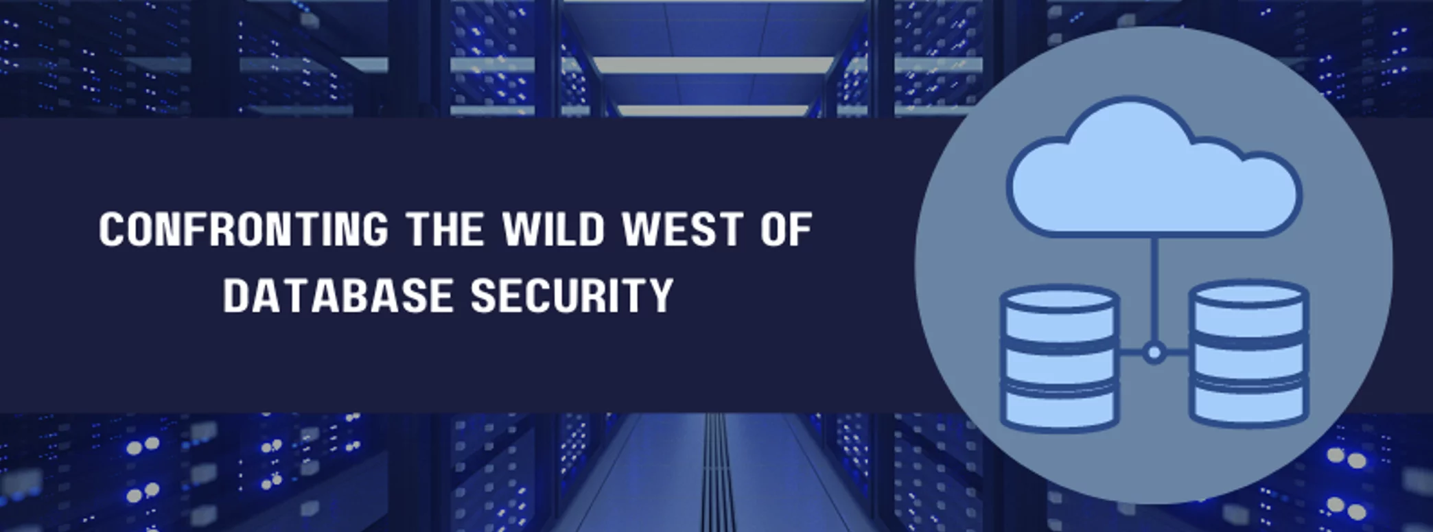 Banner explaining confronting the wild west of database security