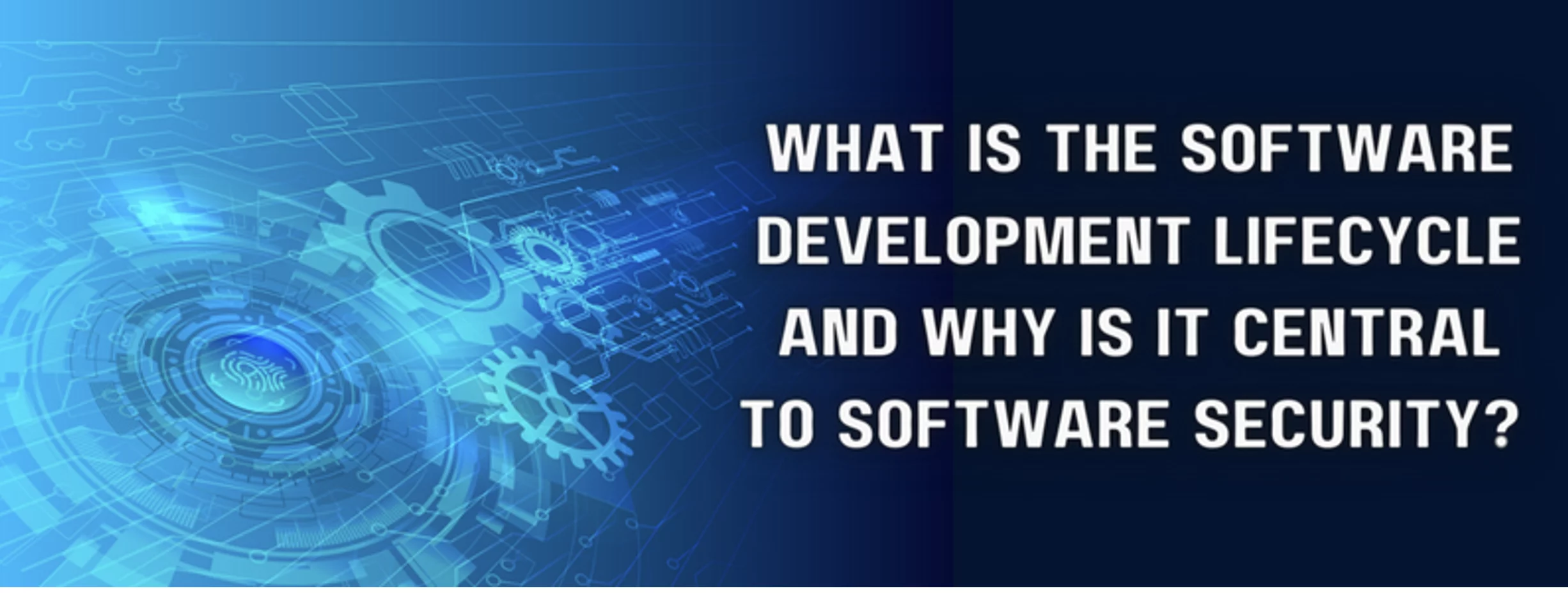 the words "what is the software development lifecycle and why is it central to software security"